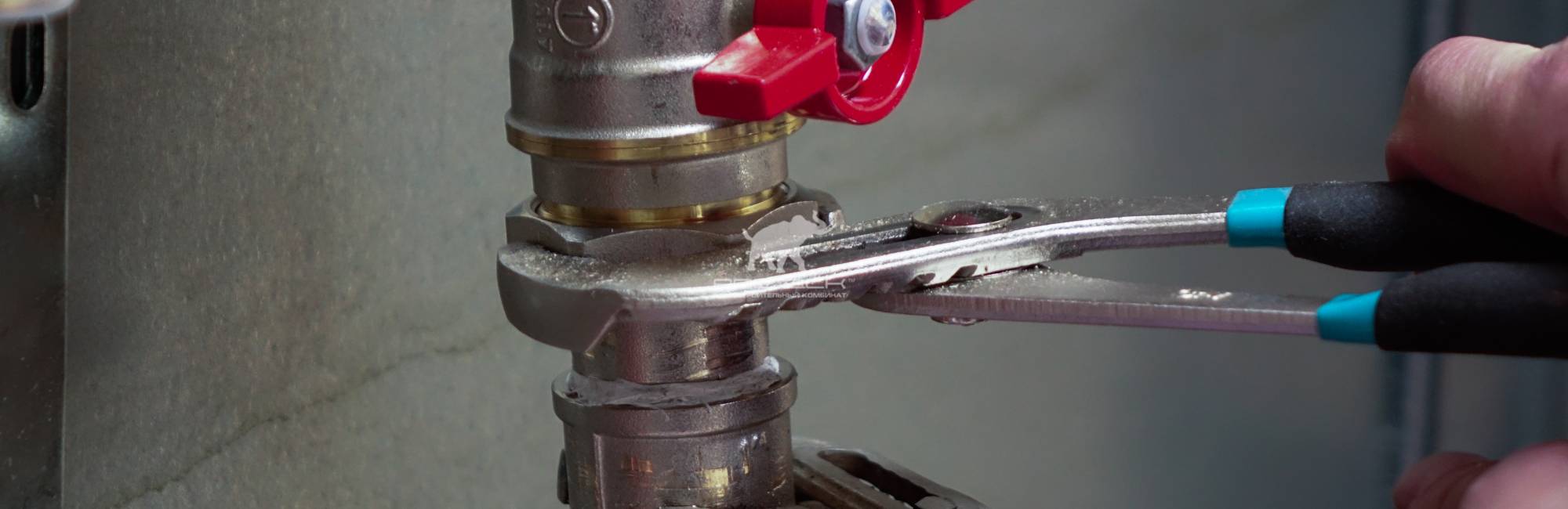 Мы не идём по пути 9 яиц!